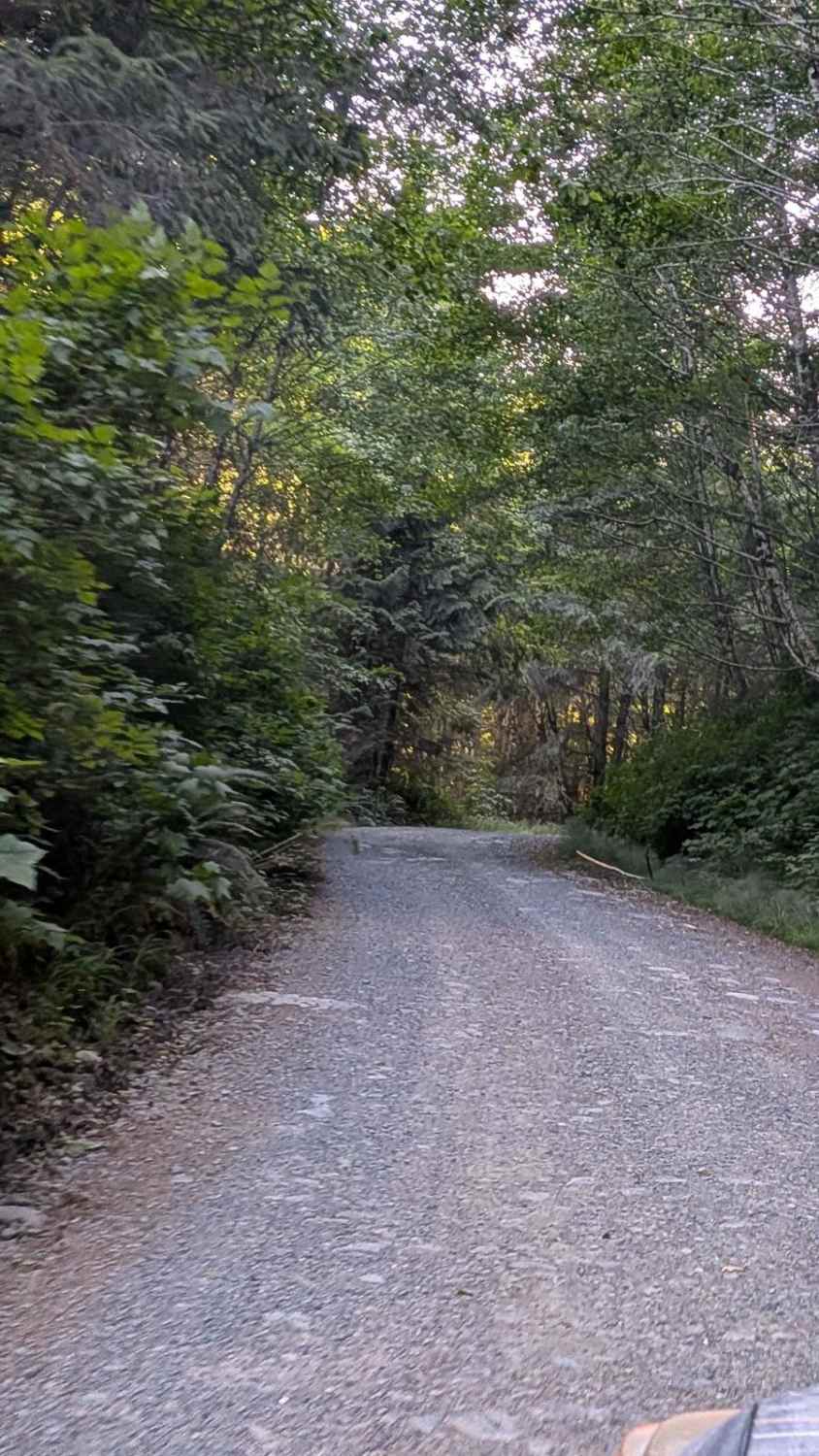 Naka Creek Main