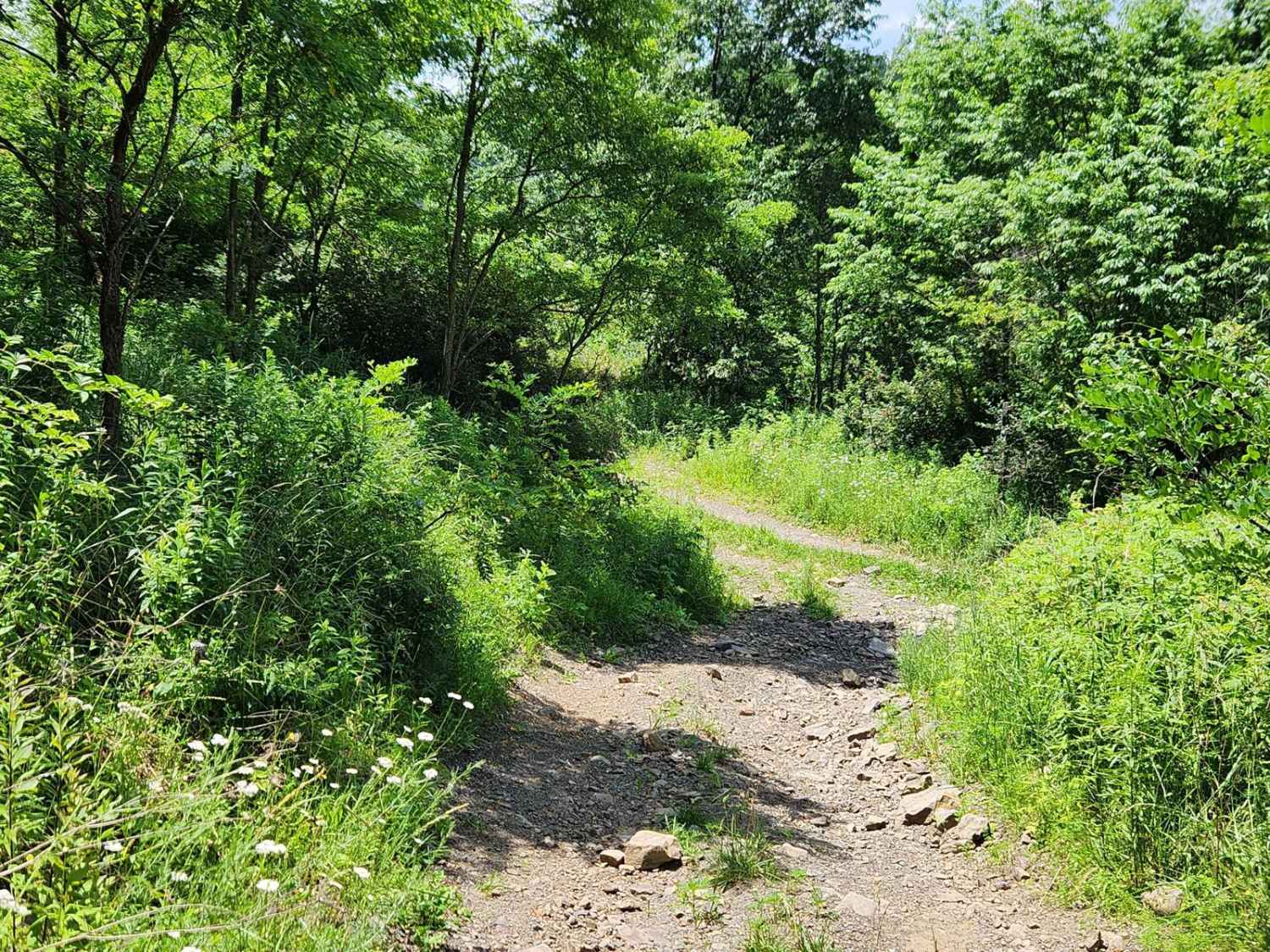 Trail 7B - Rock Run Recreation Area