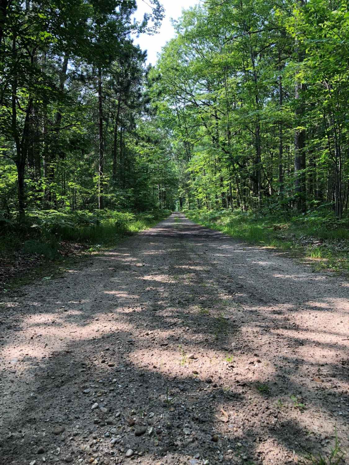 Friedrick Road