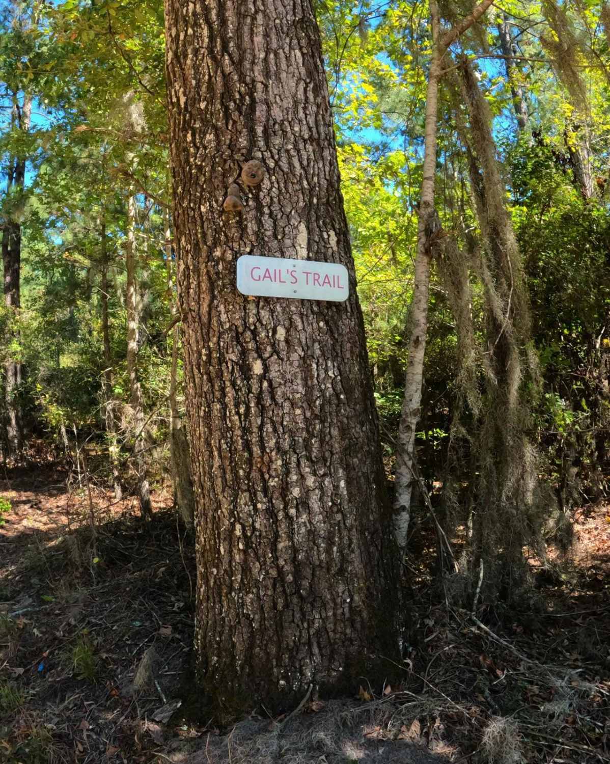 Gail's Trail