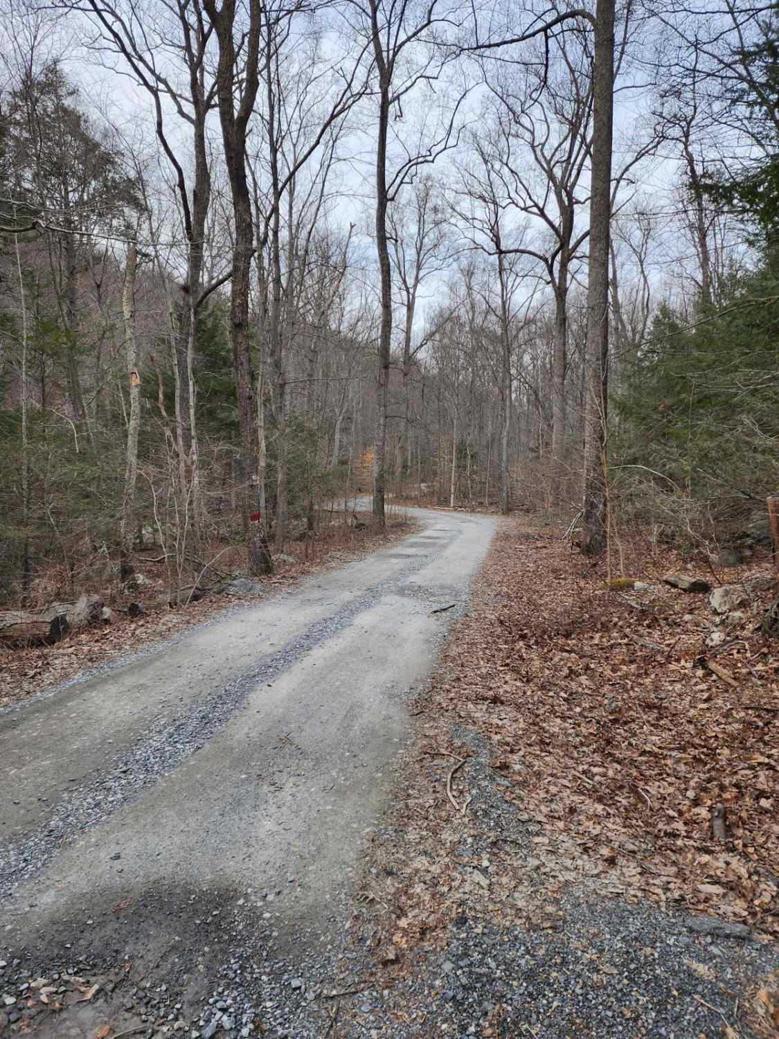Frederick Watershed