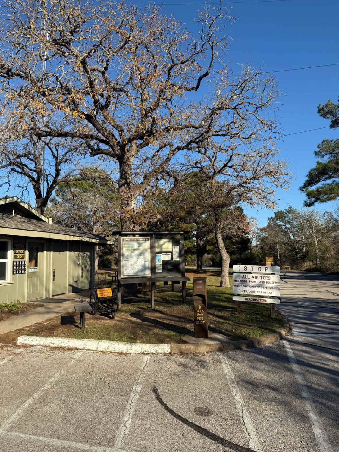 Bastrop State Park Backroads