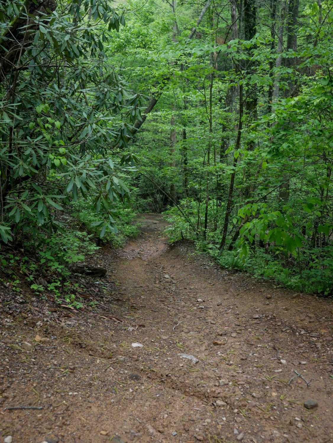 Creek Office Return 