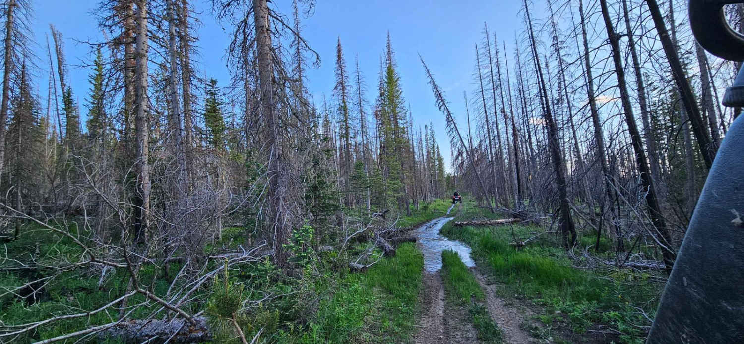 Valley Trail