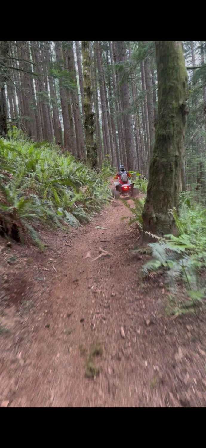 Divide Trail North