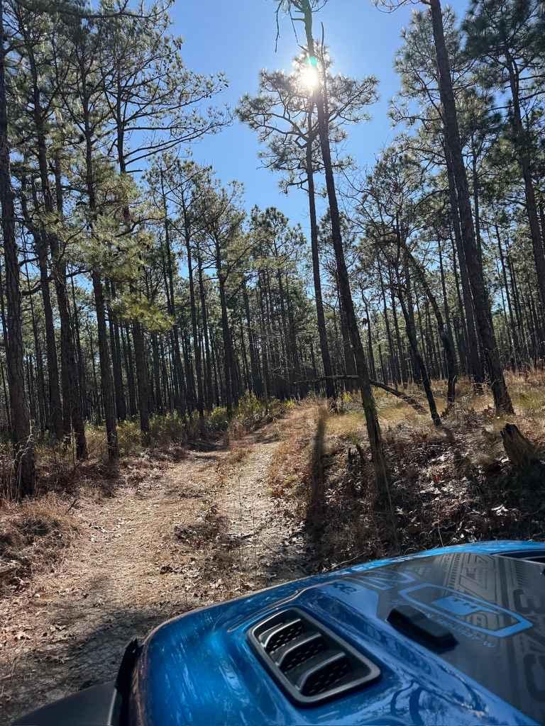 Pettiford Creek Trail 7