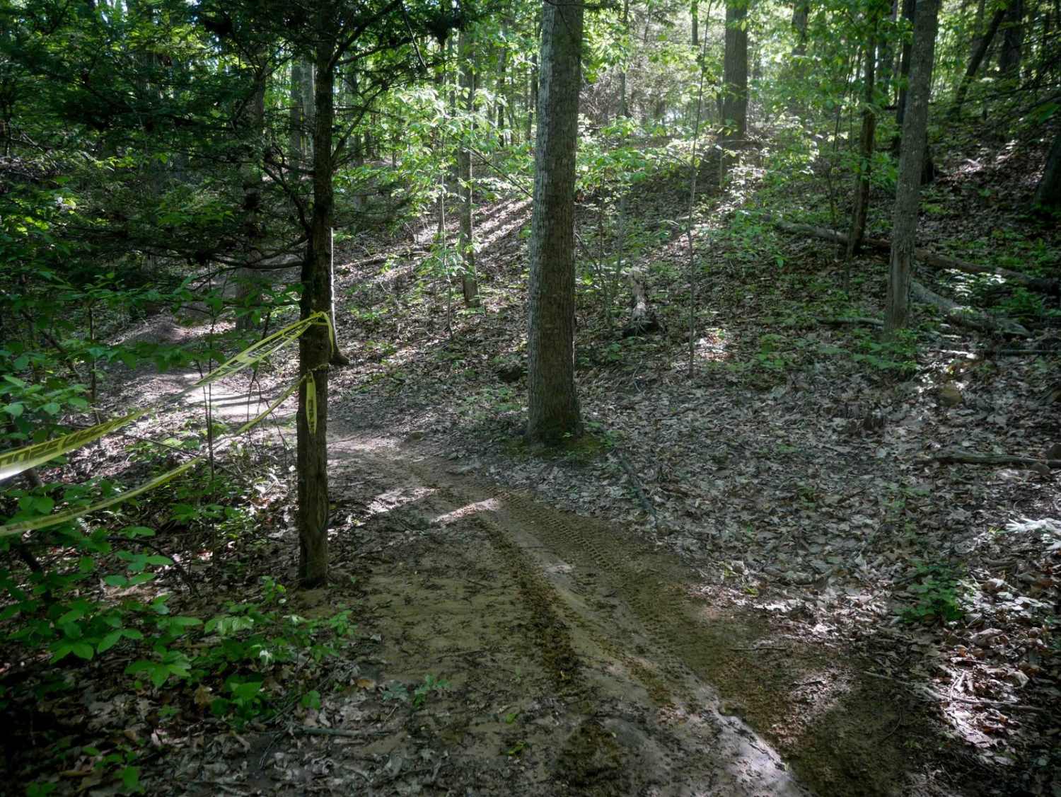 Single Track 2