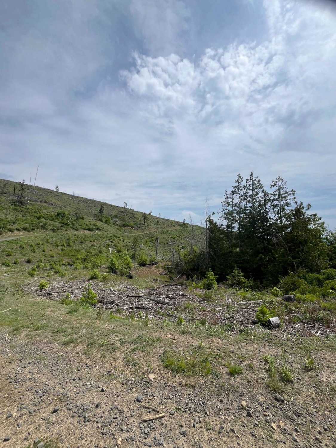 National Forrest Development Road 3308