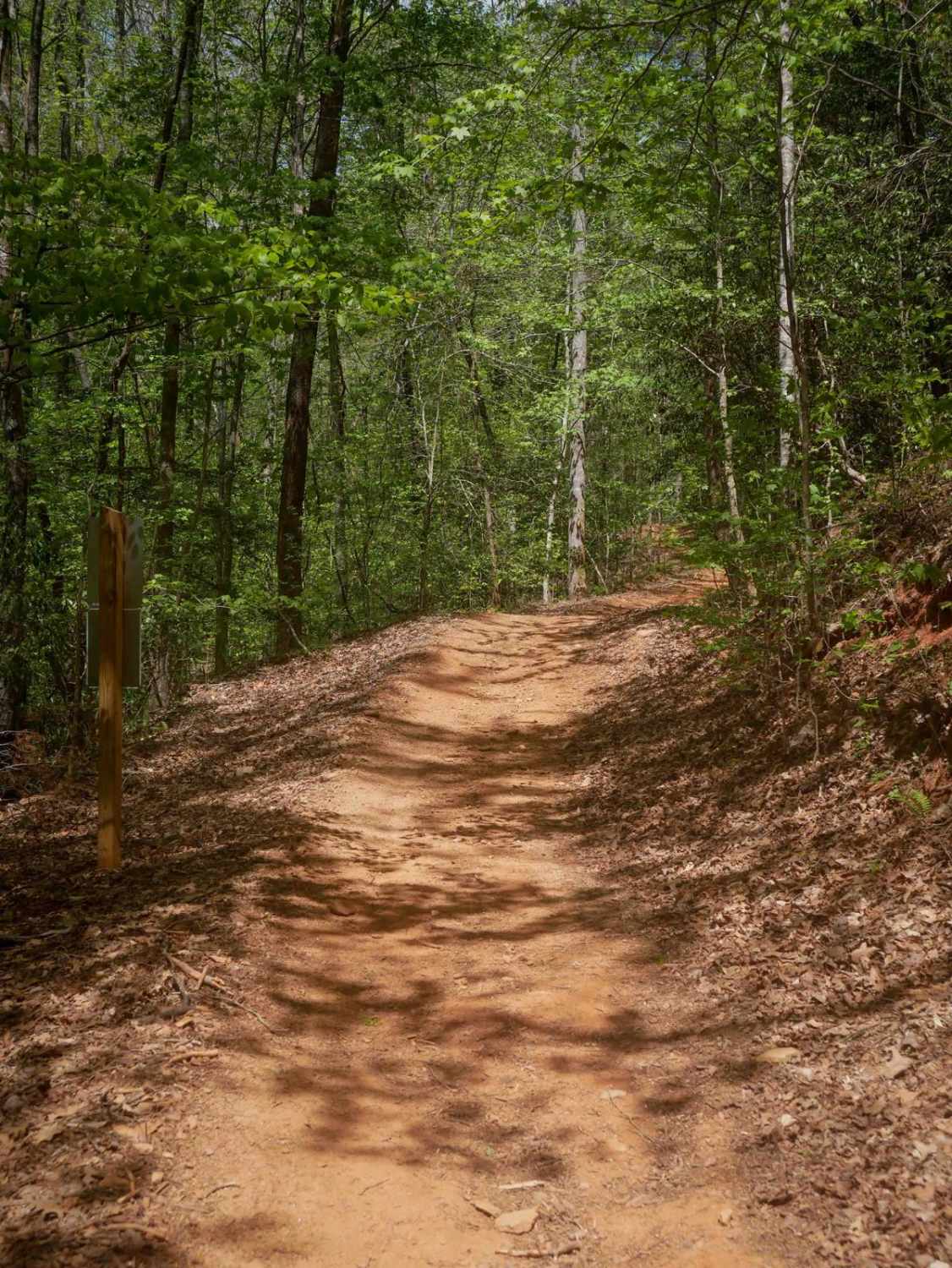 Hightower Loop Connector Trail D
