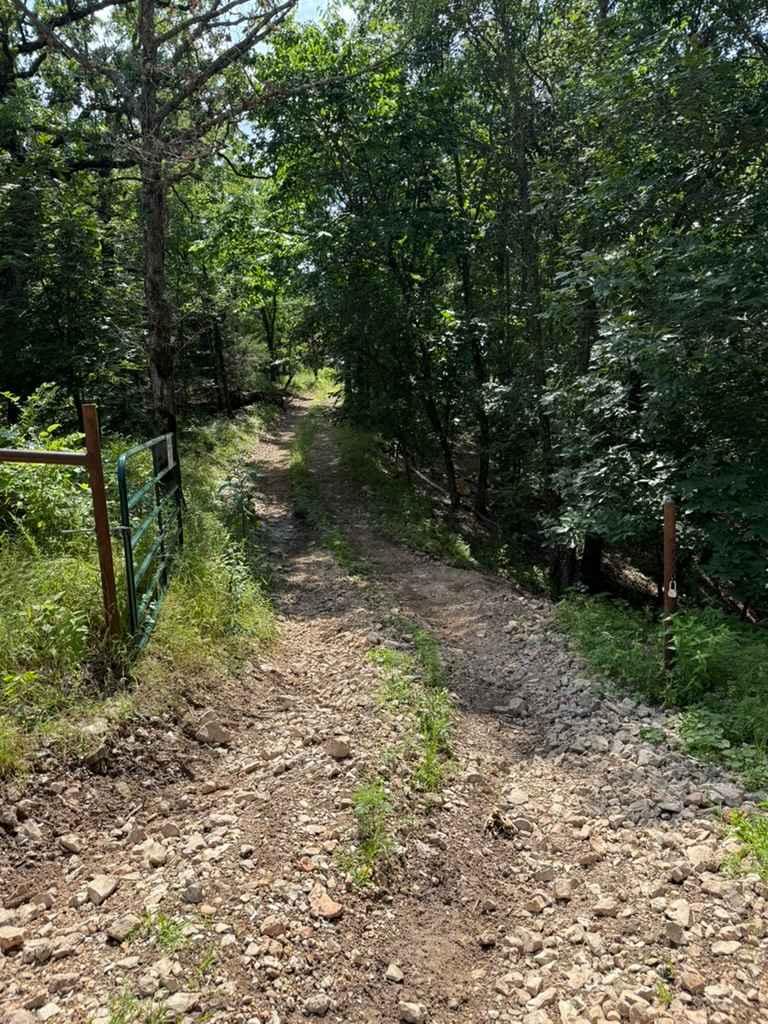 Truce's Trail