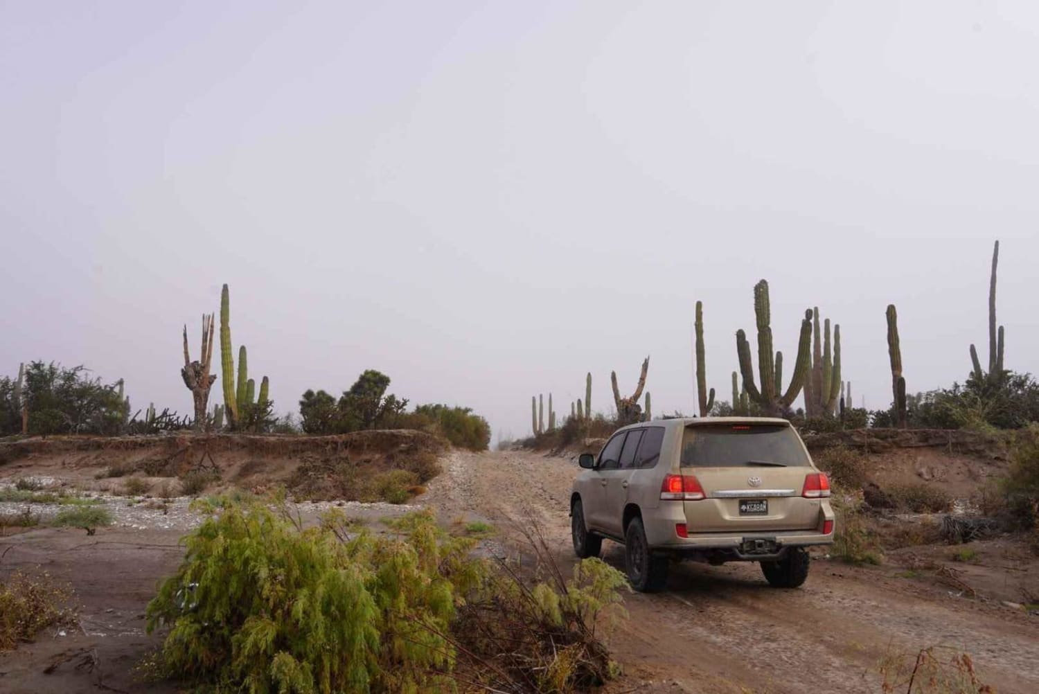 San Juanico to San Ignacio via the Coast. 