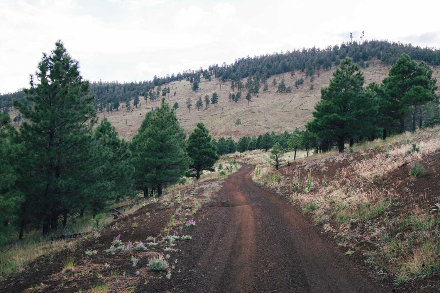 SaddleMountain
