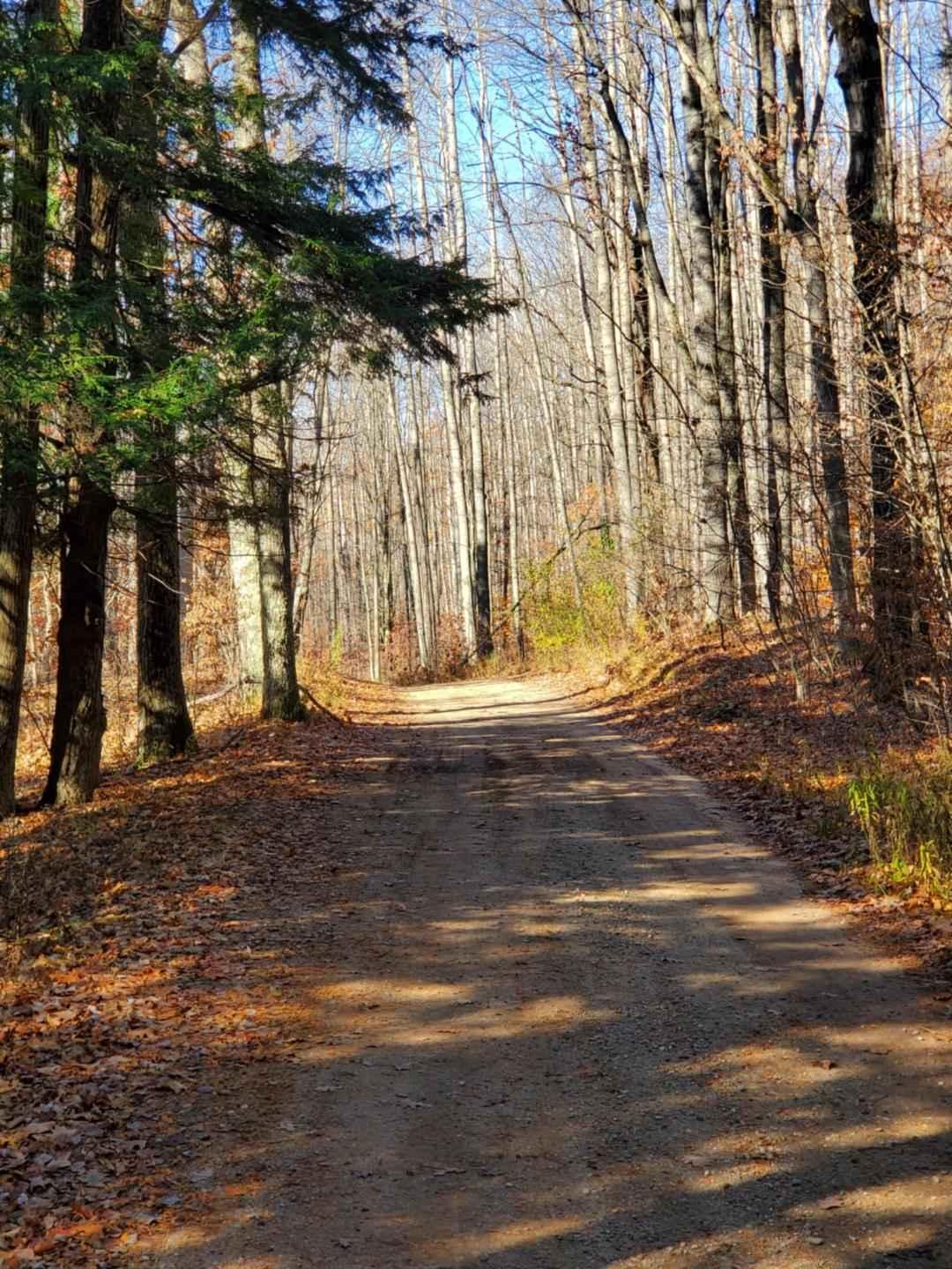 Trail 5321