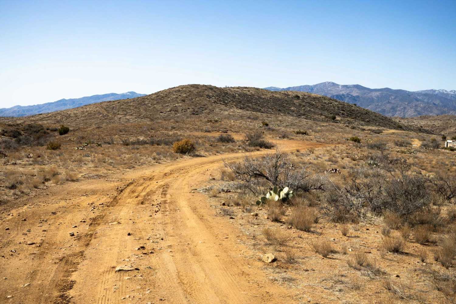 Creek to Peak