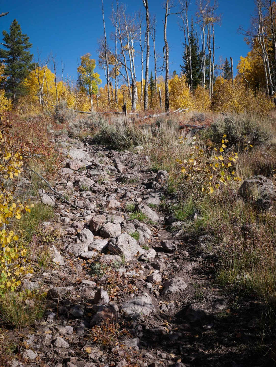 North Gulch 