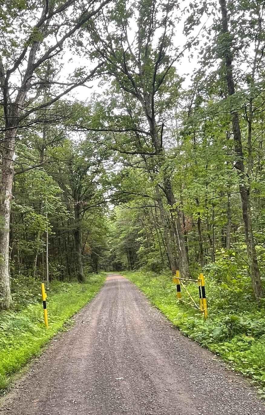Walters Road