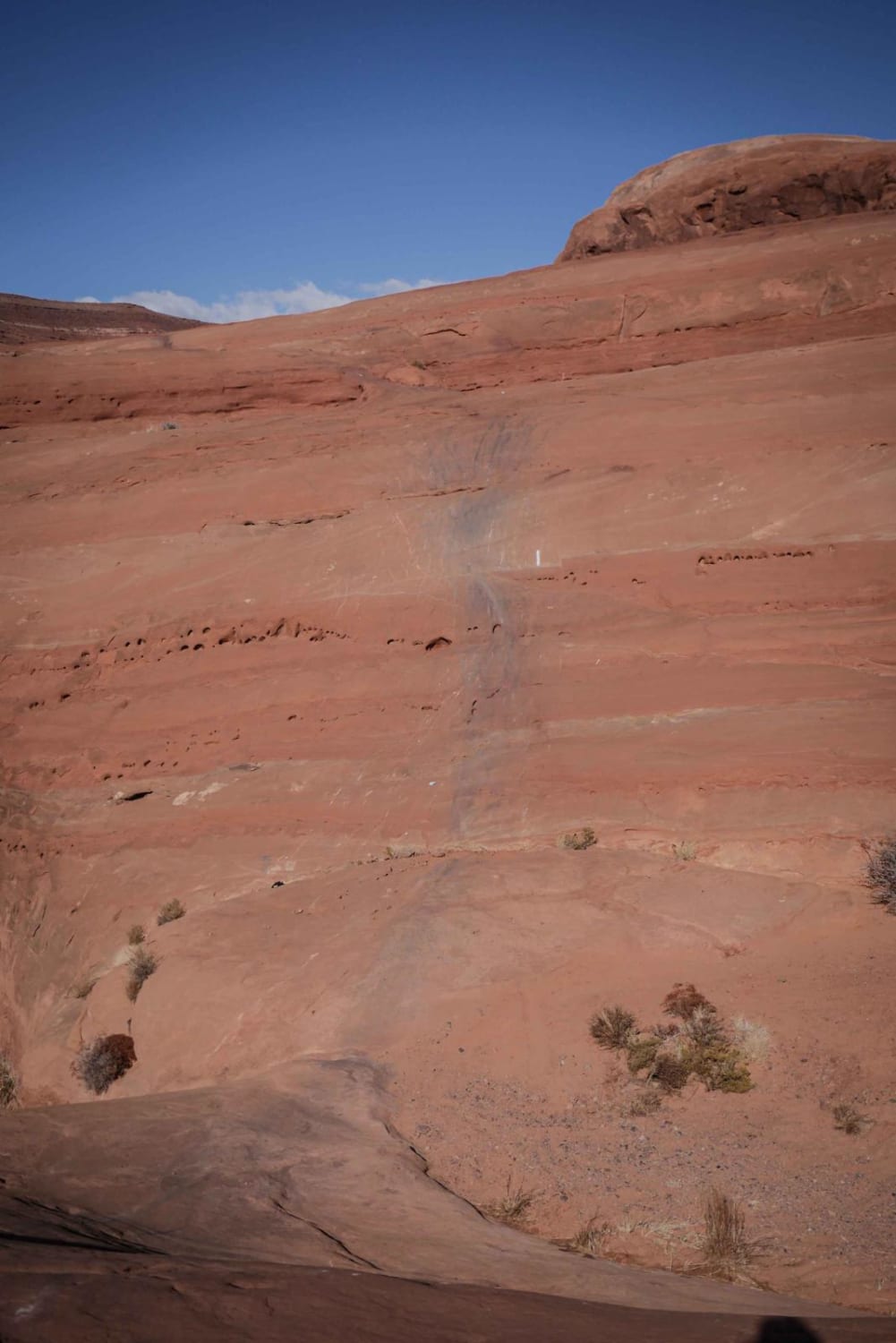 Mary's Trail