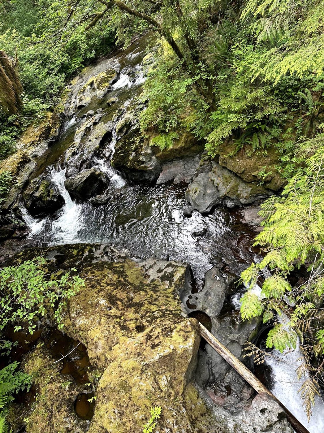 Newberry Creek Road