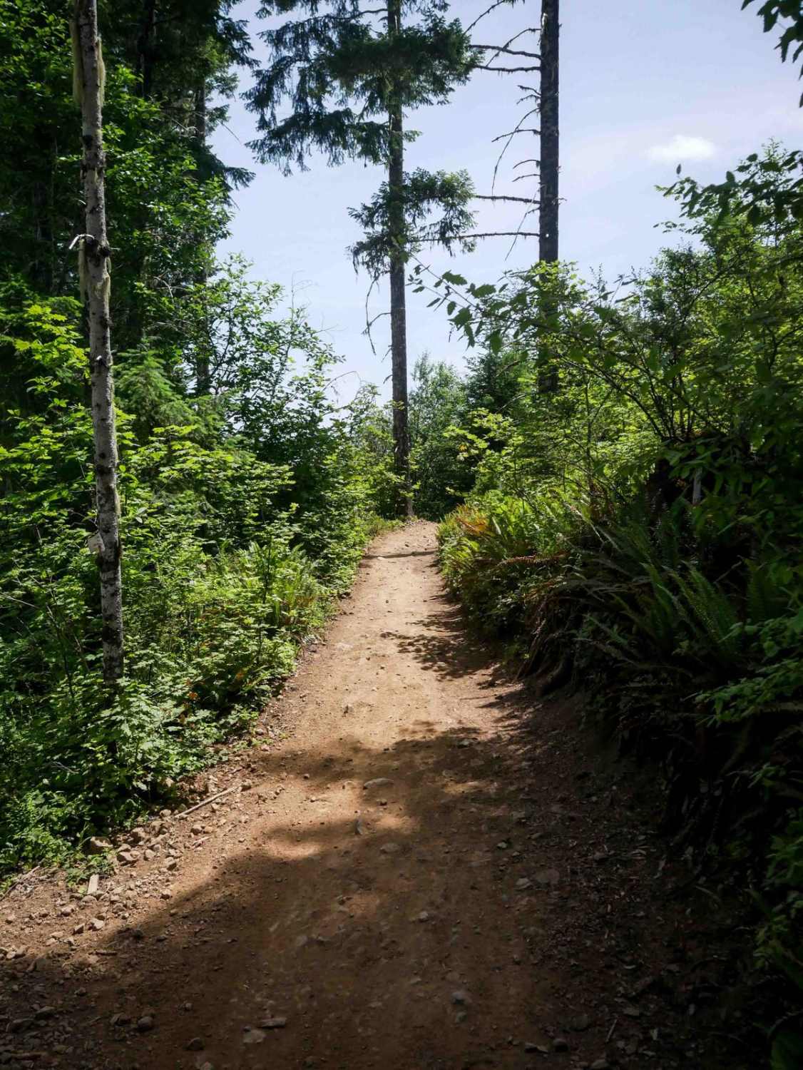 Rogers Camp Road #1 