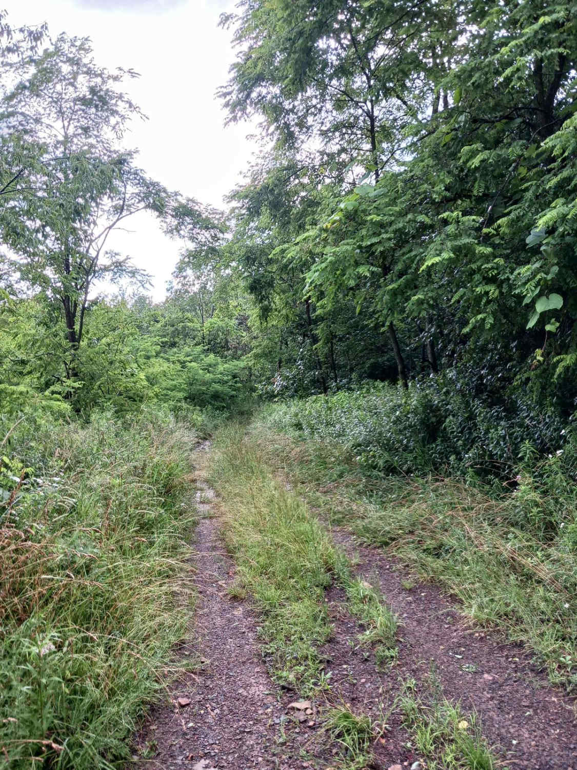 Trail 4G - Rock Run Recreation Area