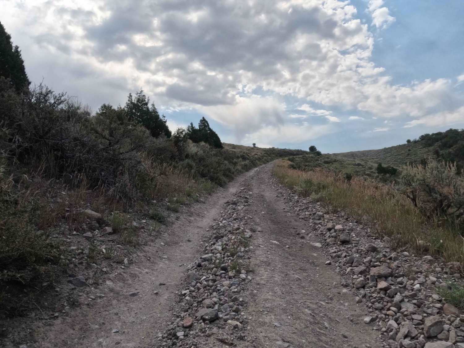 Casto Bowl - BLM 30116