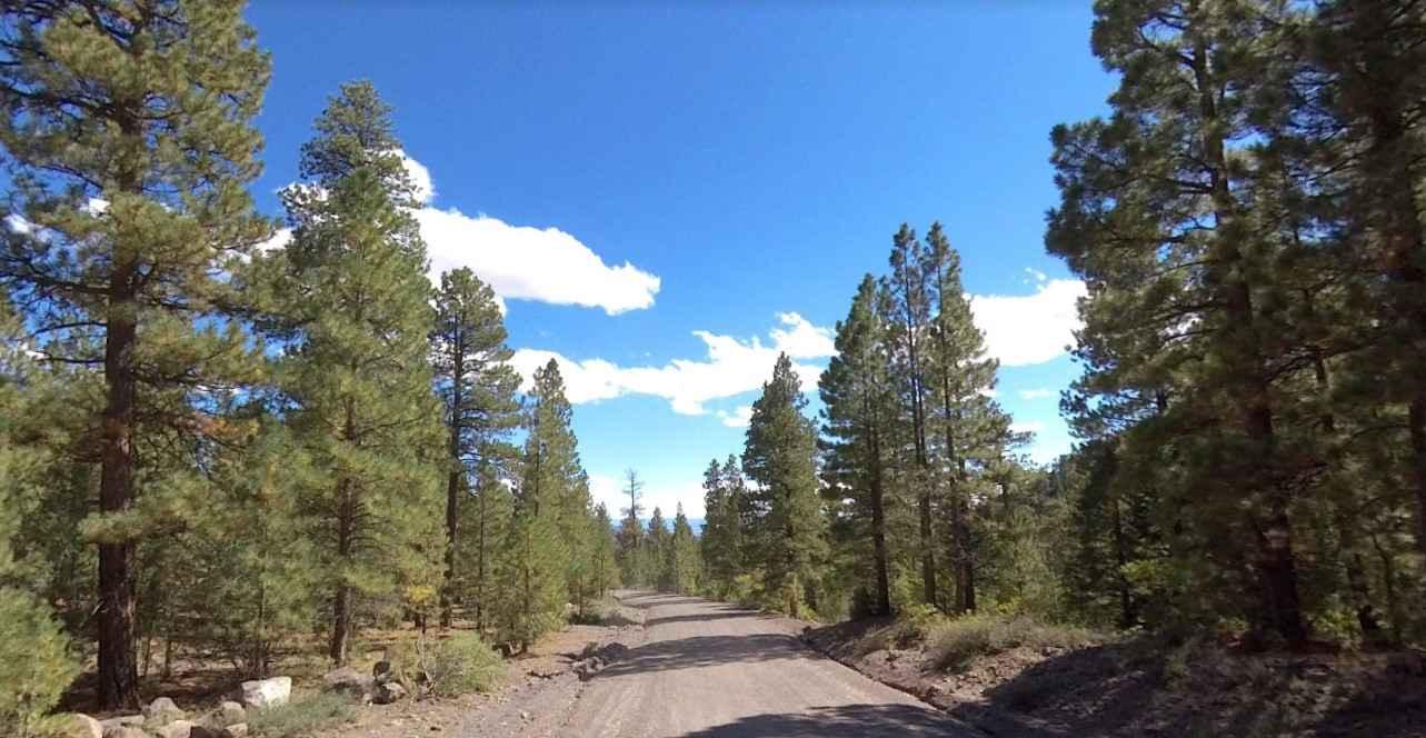 Pine Creek Road FS 30153