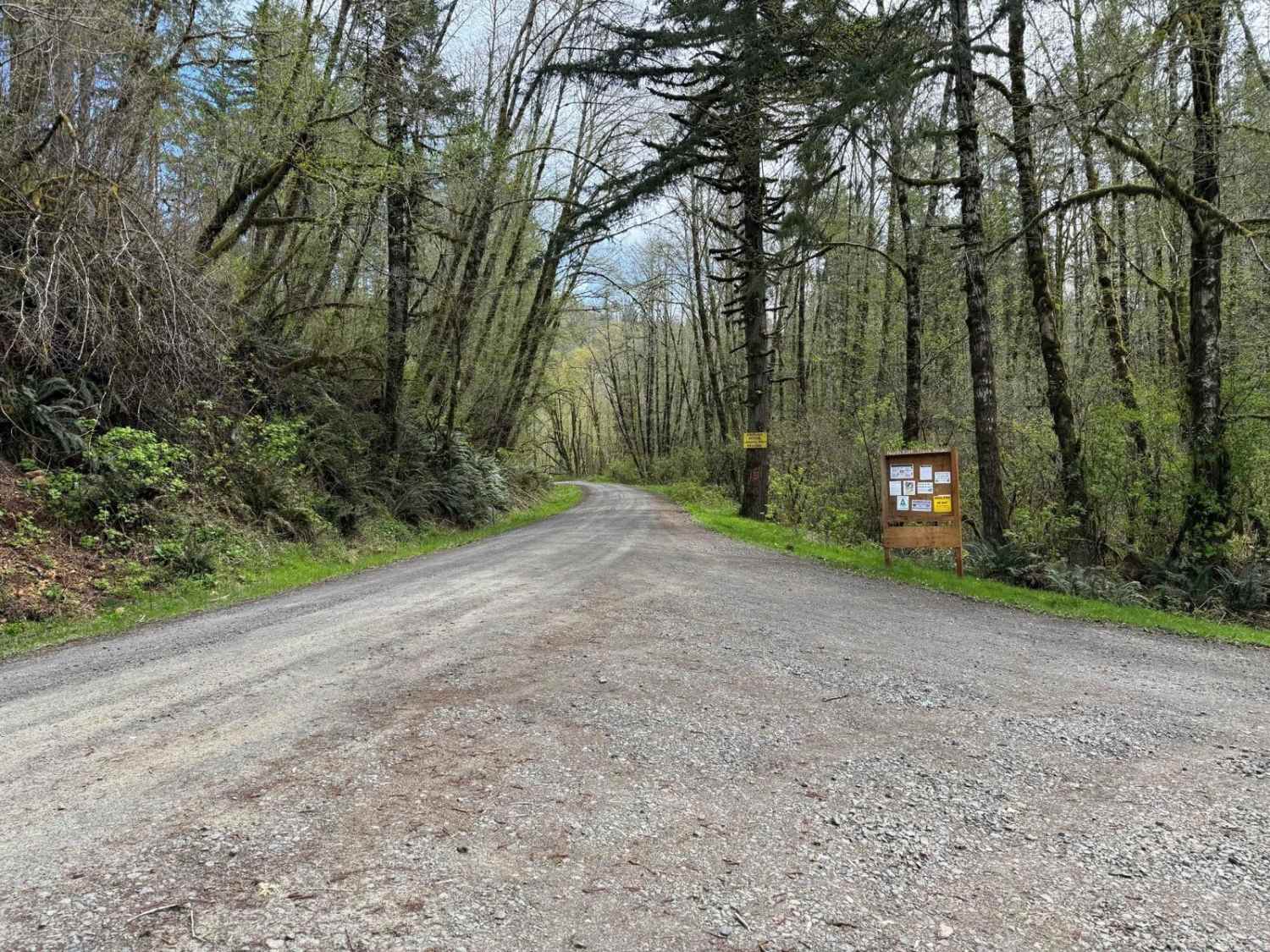 North Fork Trask River Road