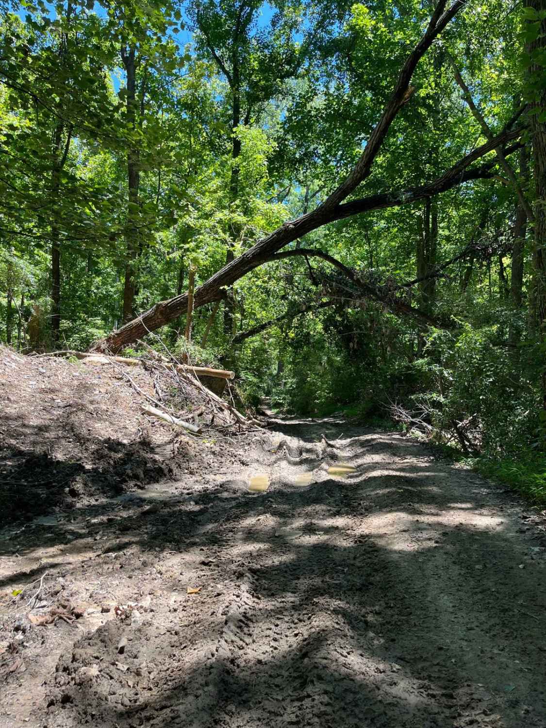 Old Boundary Trail