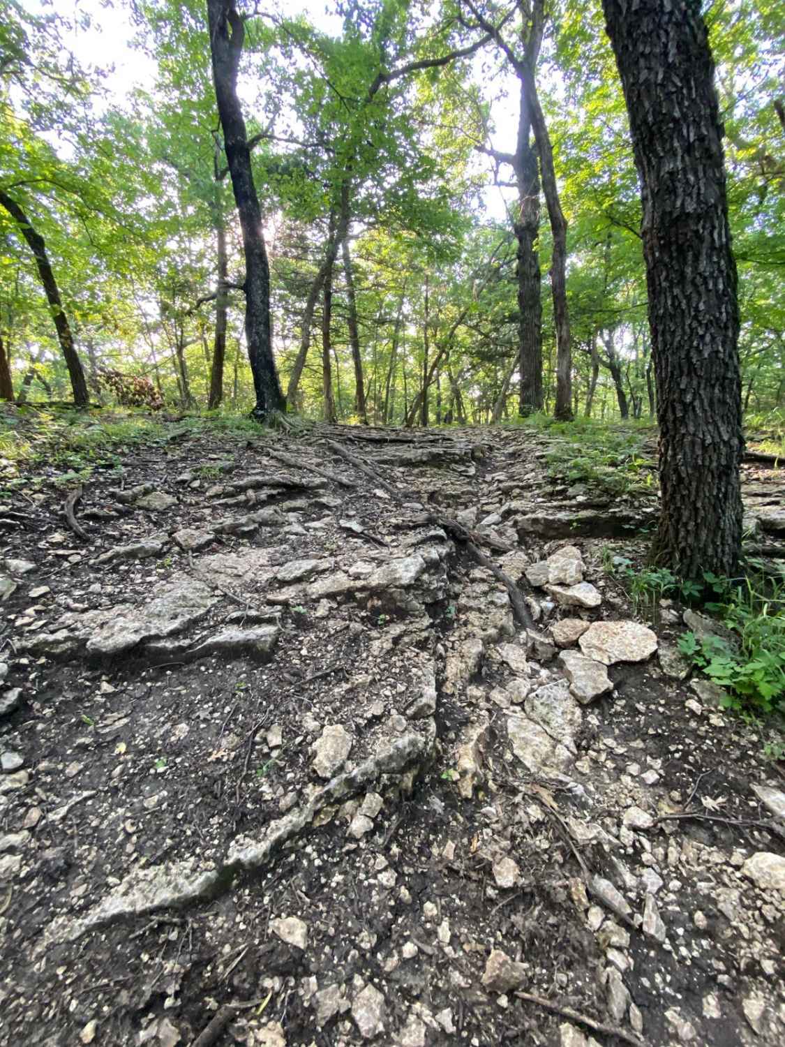 Cloepfil's Climb