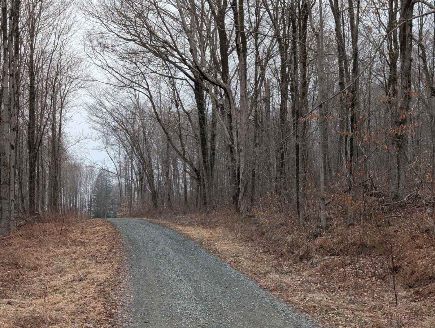 Carpenter Hill Road