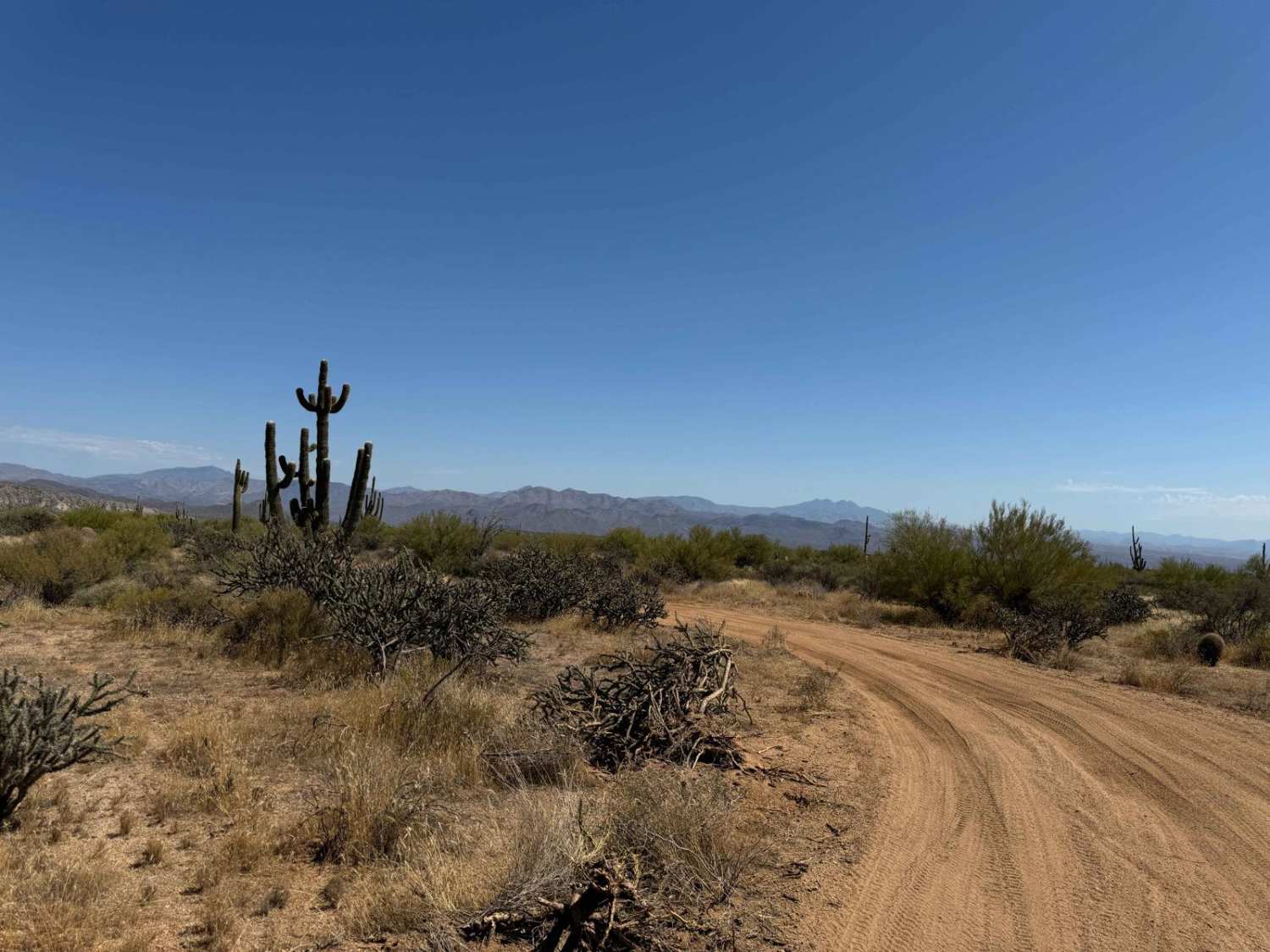 Entrance Trail to the Tonto National Forest Desert Vista OHV