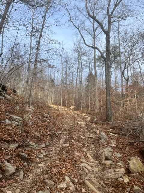 Coalmont OHV Trail 17 Blue