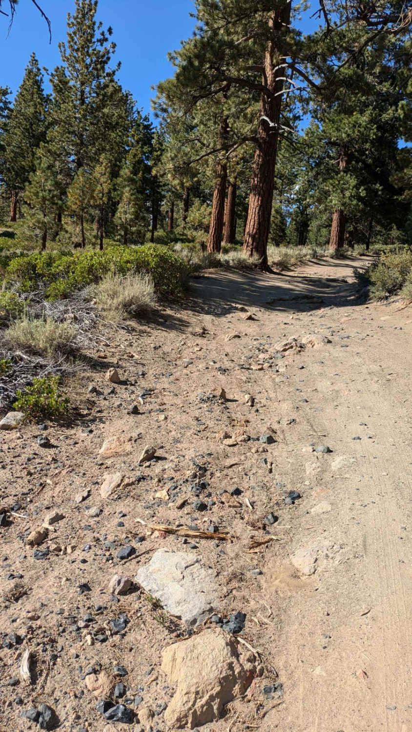 Mammoth Basin Overlook Trail 3S37