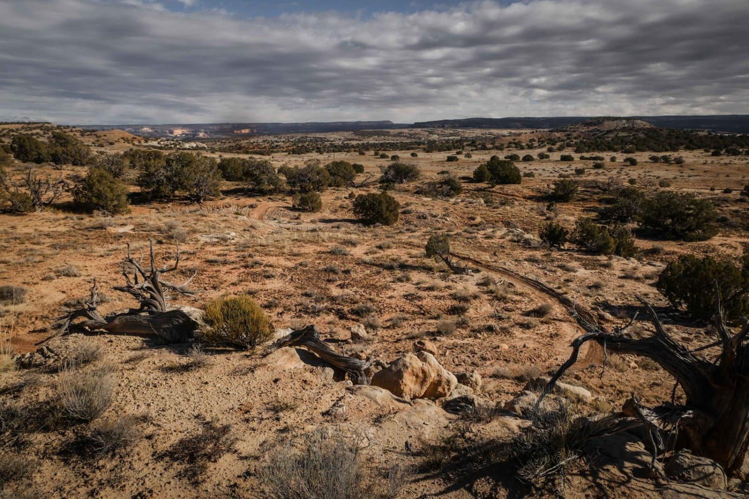 Tommy Creek Loop  Iron County, Utah