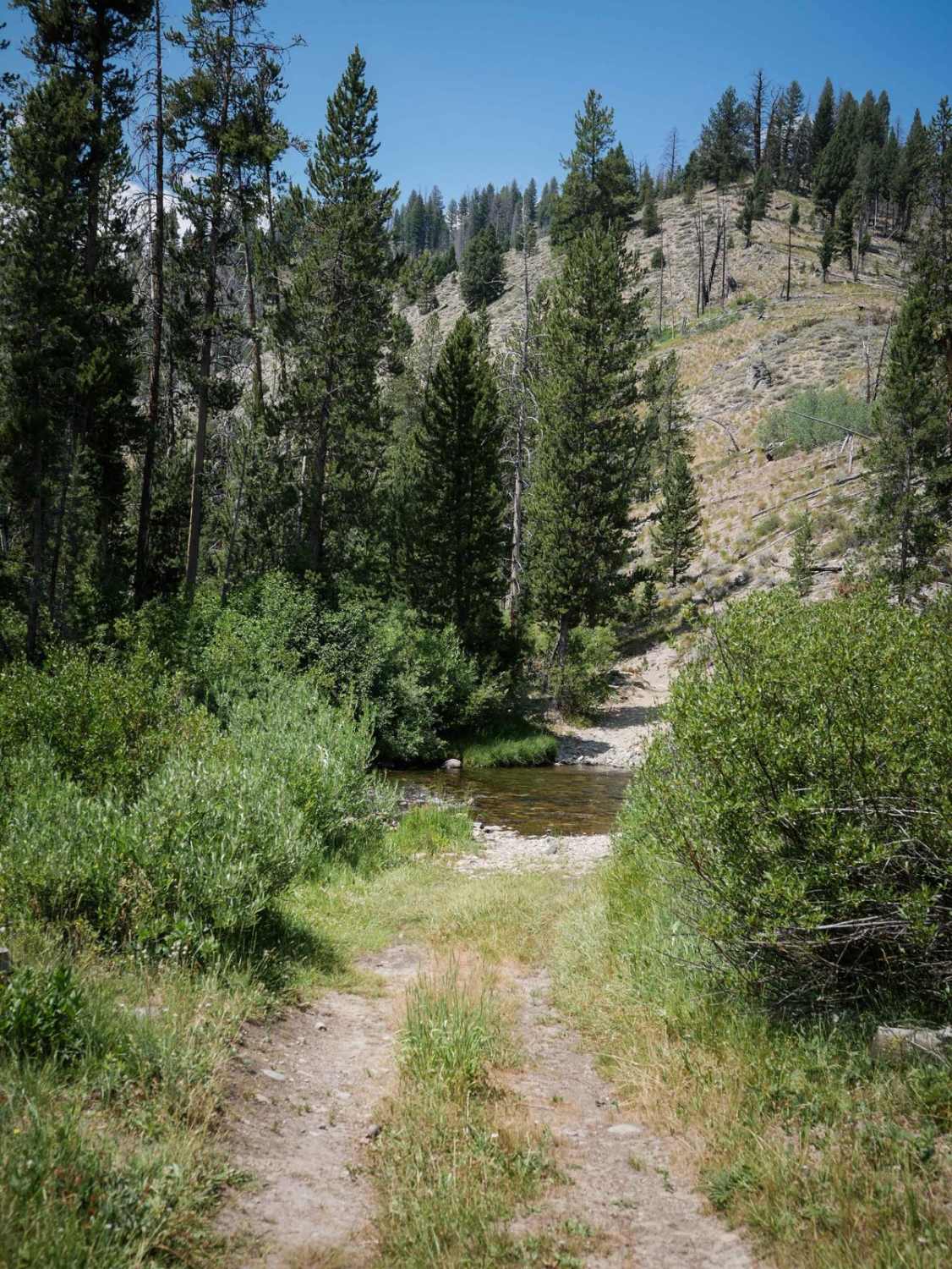 Kelly Creek ATV 