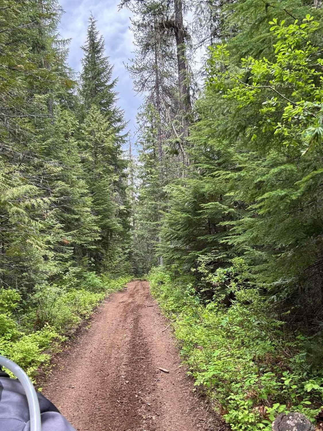 Strychnine Ridge (Trail 319)