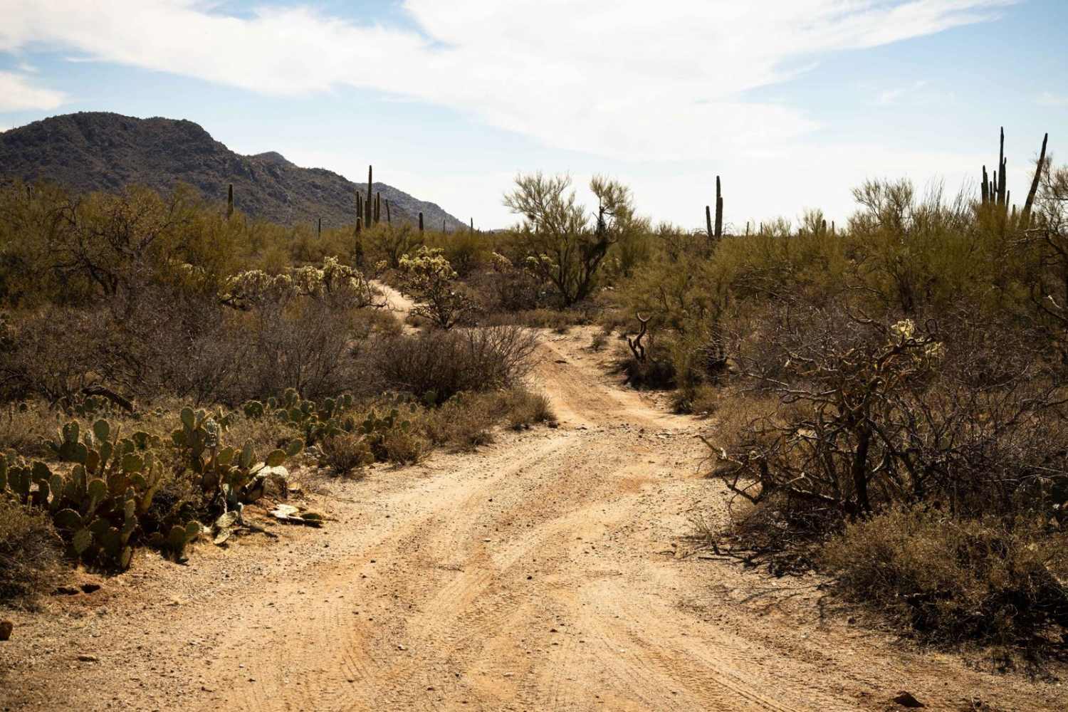 Ditch Trail