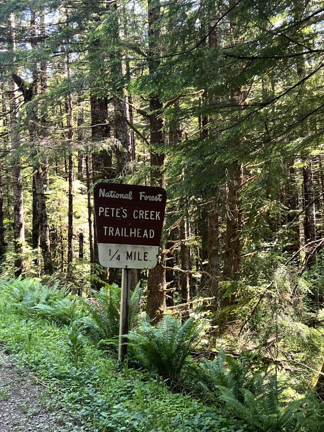 Pete's Creek Trail