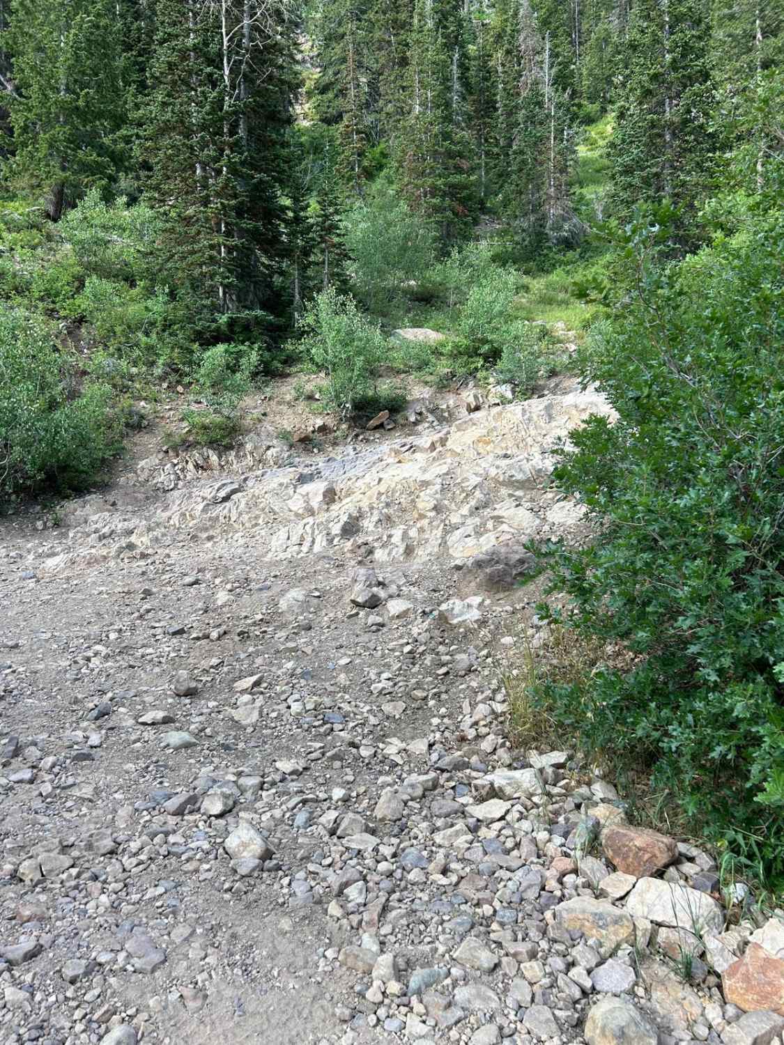 Mineral Basin Trail
