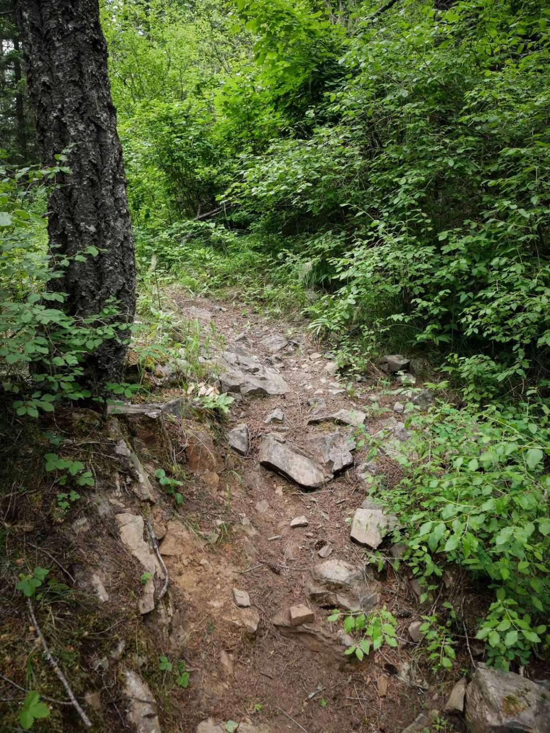 Turner Peak 
