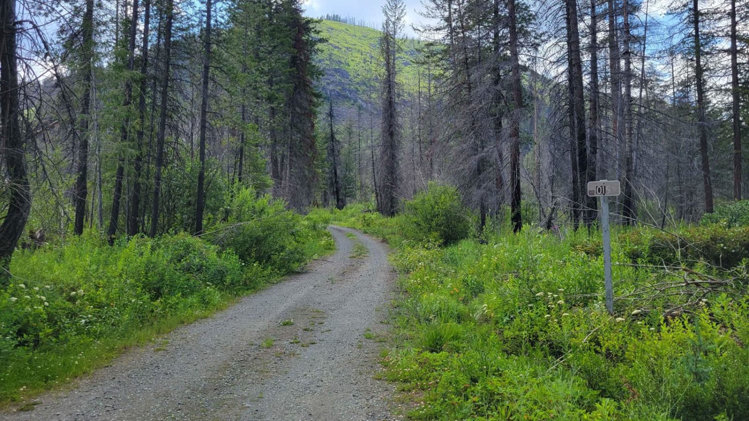 Reynolds Creek Trailhead - 015