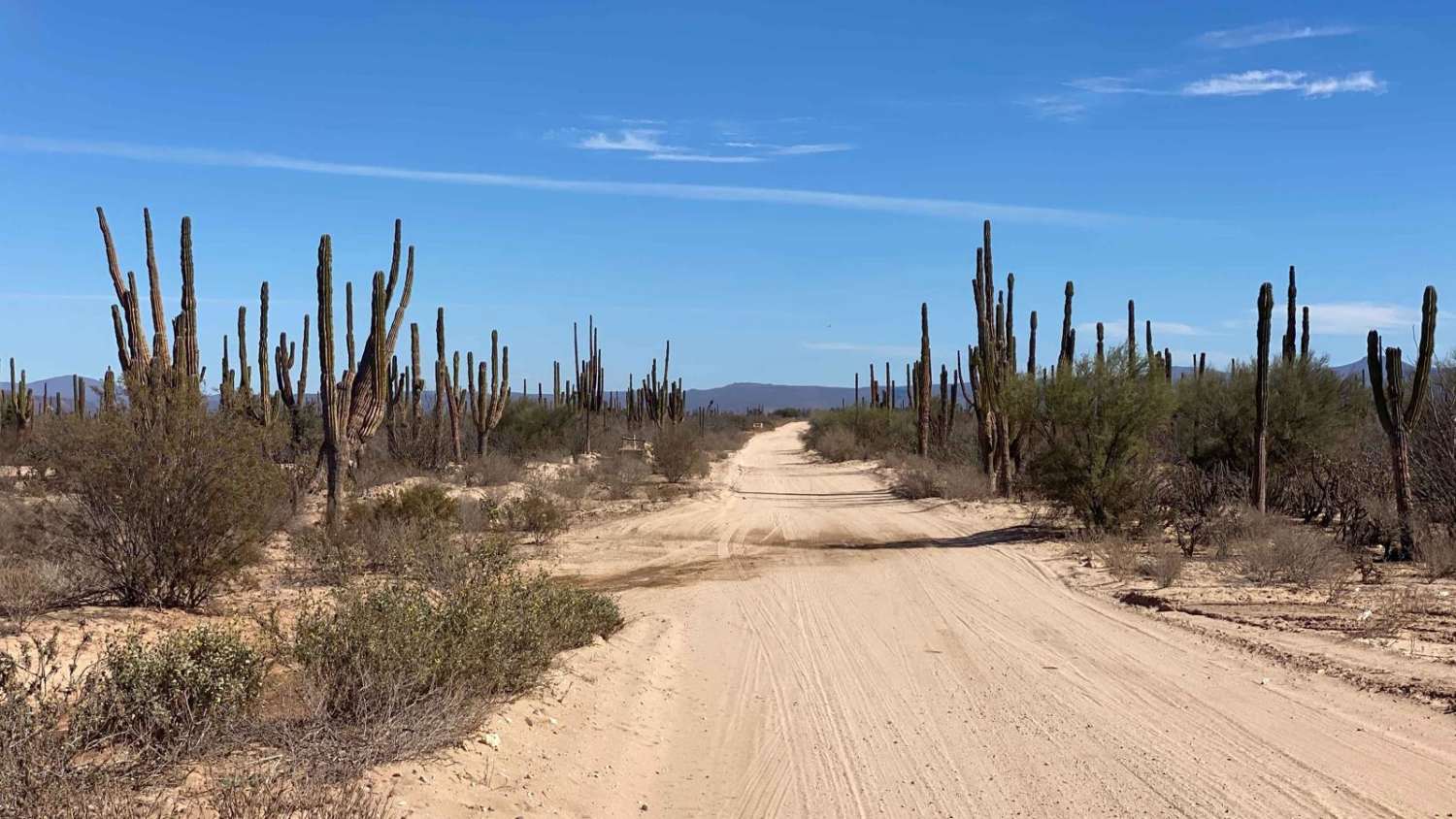 Rancho Santa Marta
