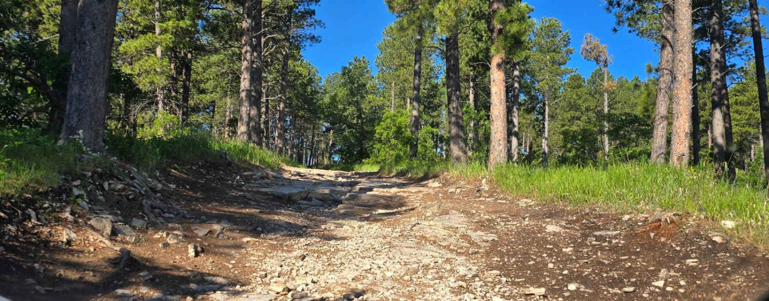 Black Hills Forest Access from Sturgis