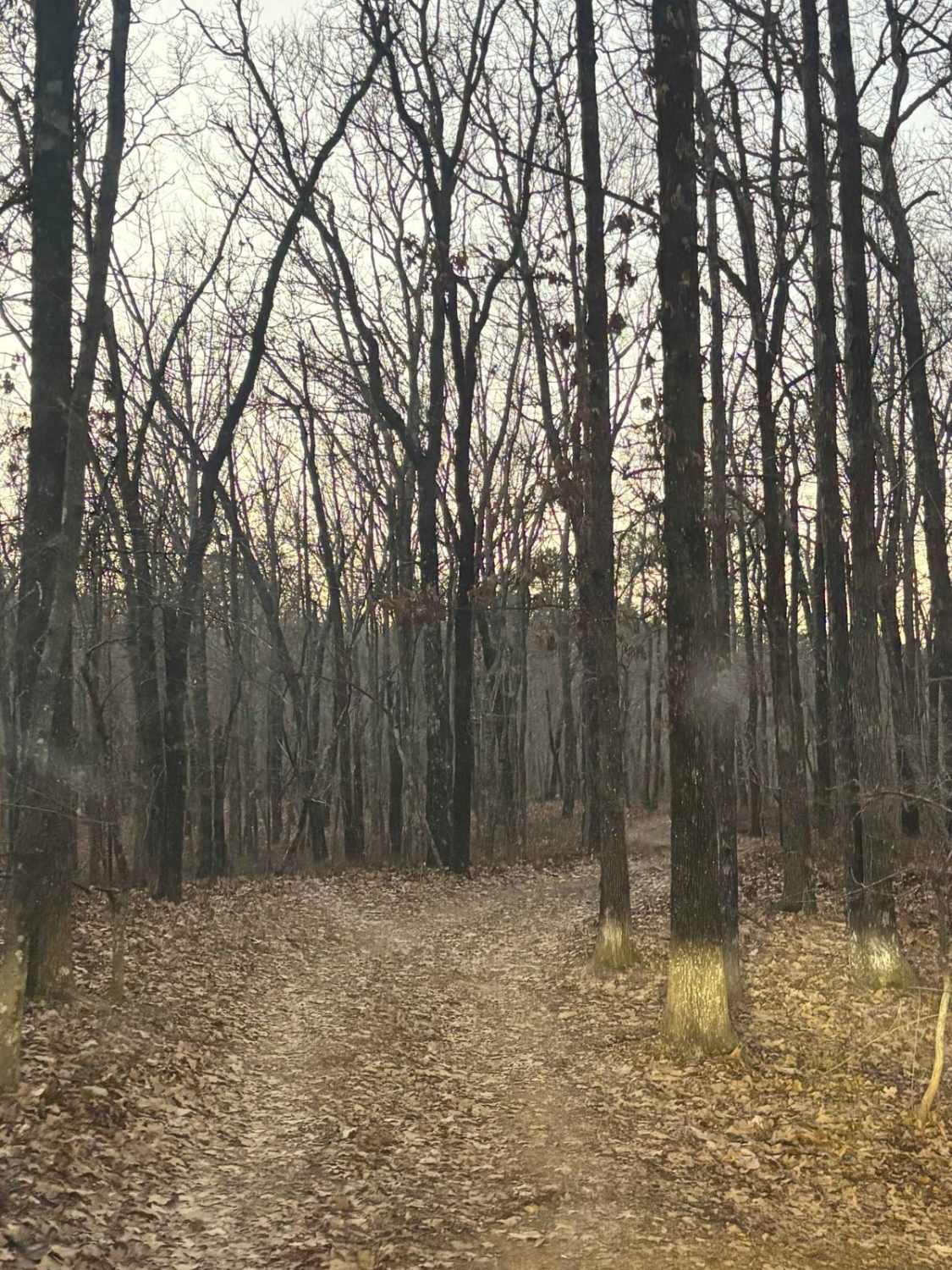 35A