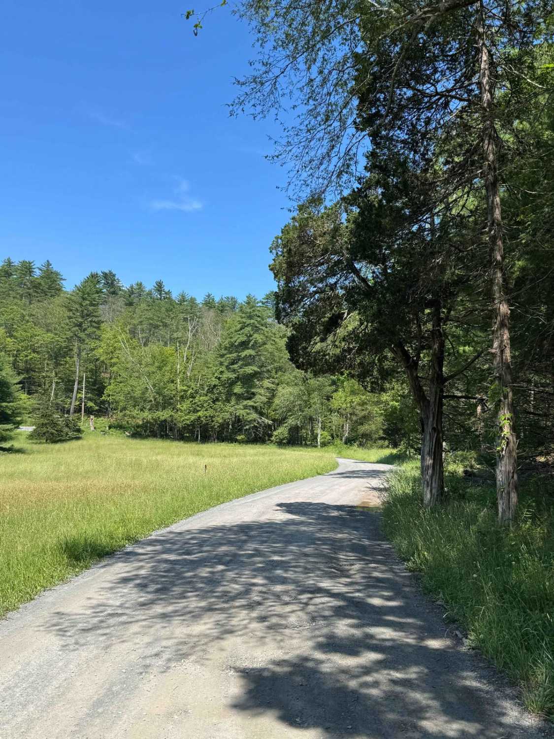 Rogue Harbor Road