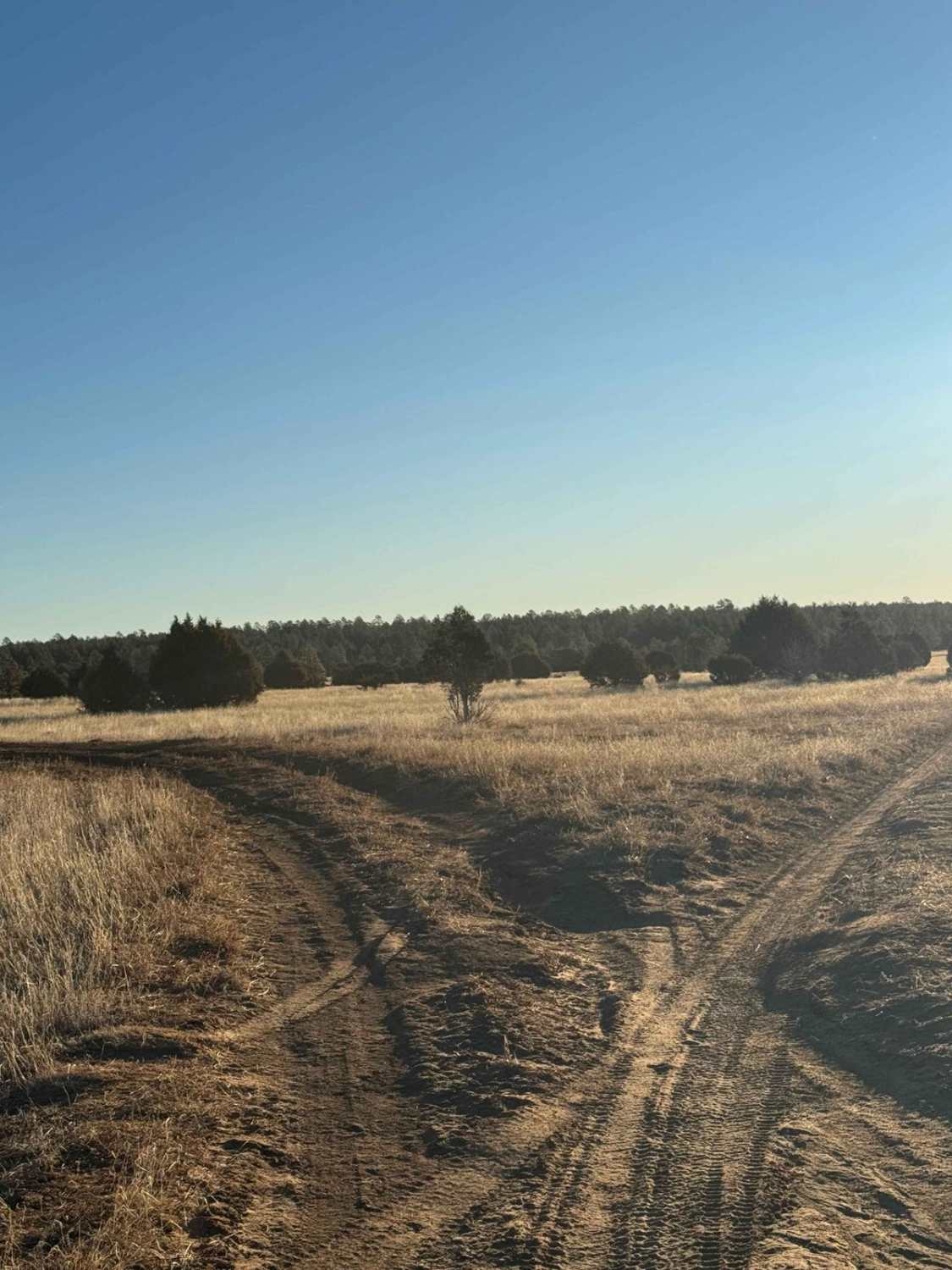Cattle Run Pass 