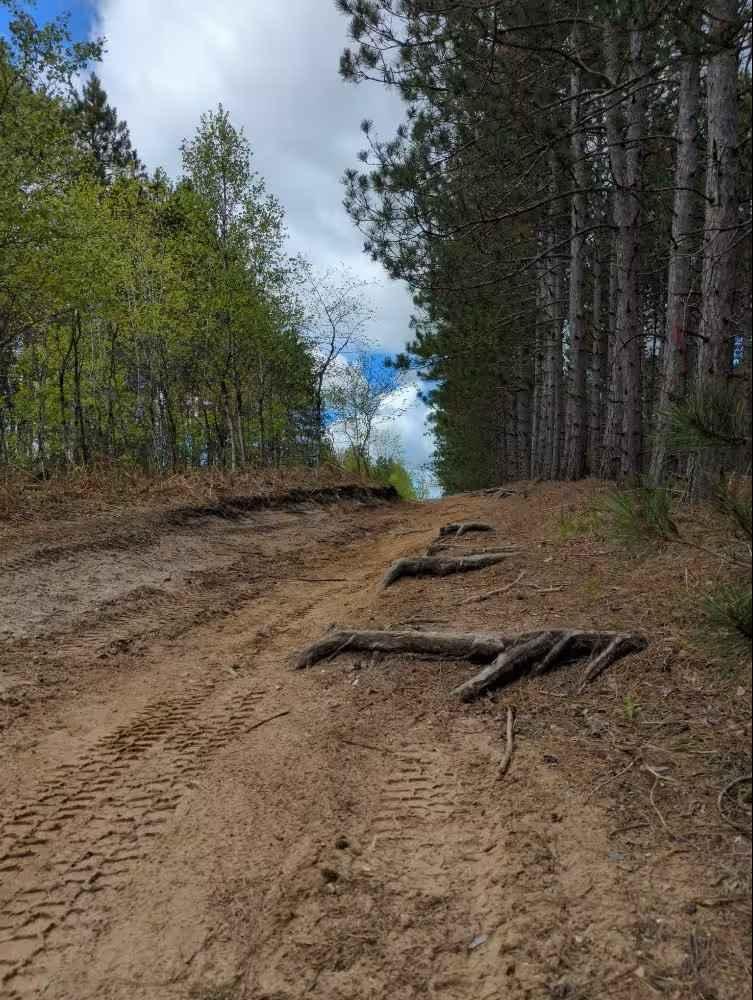 Pine Root Pass