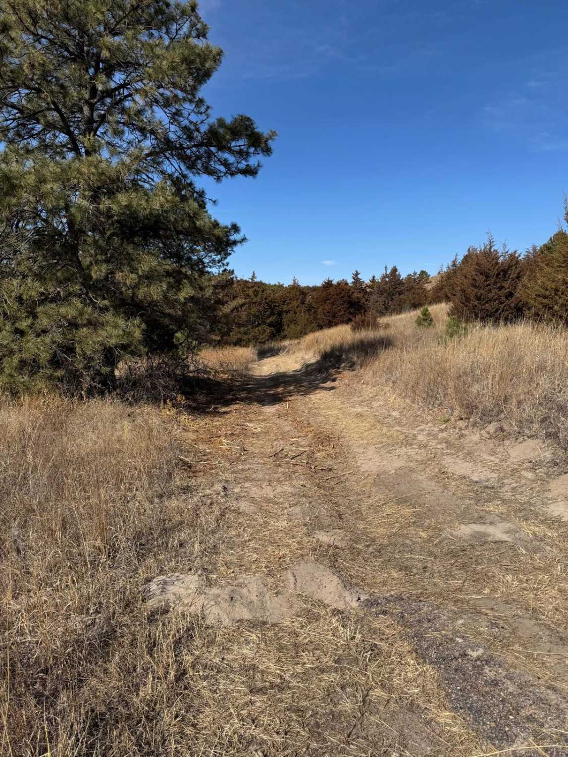 Forest Road 211 - Camp 2 Road