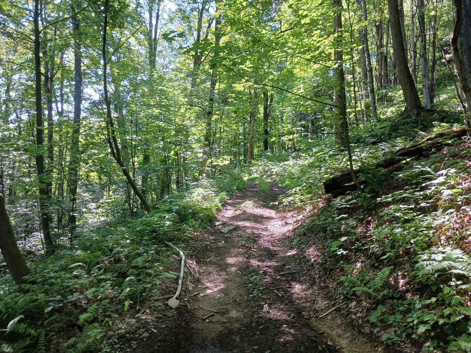 Trail 14C - Rock Run Recreation Area