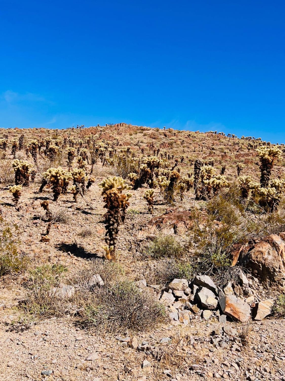 AZ Peace Trail to Linda Mine and Memorial